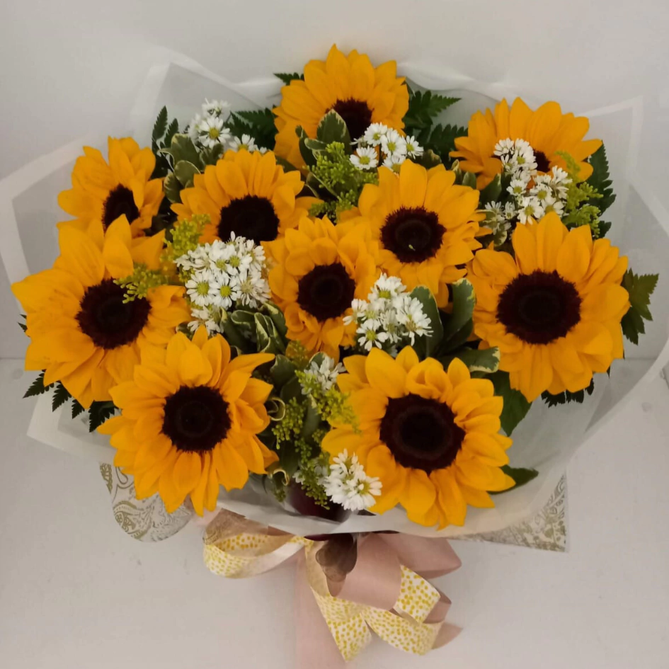 Alegria de Girassol - Buquê de 10 Girassóis Naturais com Gipsofila