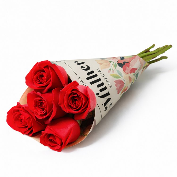 Paixão no Papel - Cone de Rosas Vermelhas (Buquê Premium)